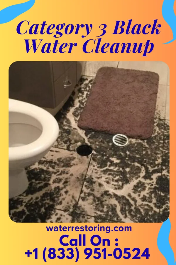 Category 3 Black Water Cleanup in Talent, OR