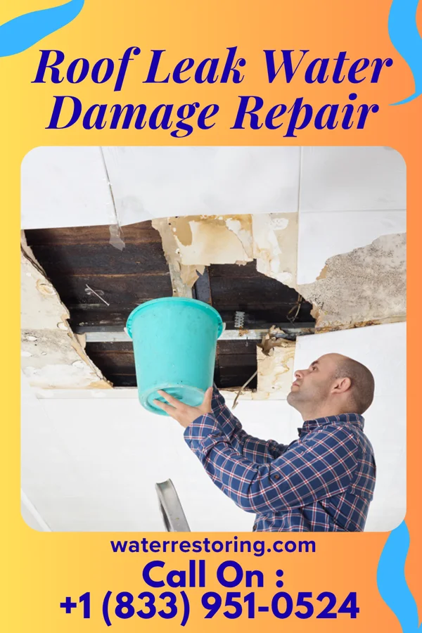 Roof Leak Water Damage Repair in Talent, OR